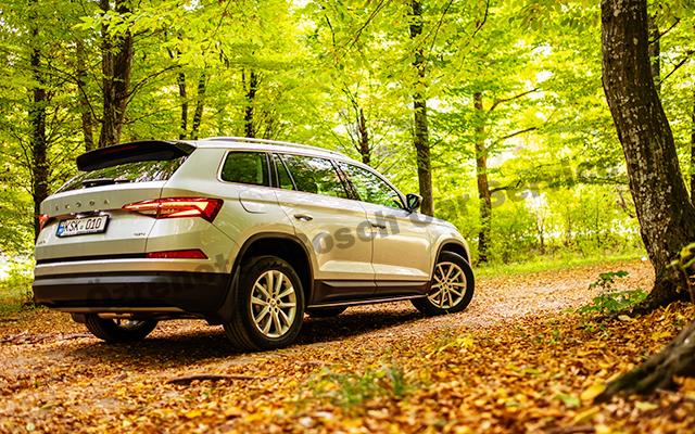 İzmir Skoda Yedek Parça Hizmeti
